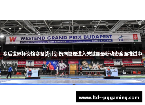 赛后世界杯资格赛备战计划伤病管理进入关键期最新动态全面推进中