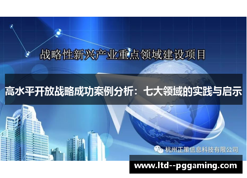 高水平开放战略成功案例分析：七大领域的实践与启示